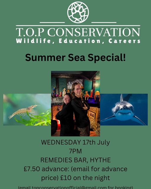 Wildlife Talk: Summer Sea Special